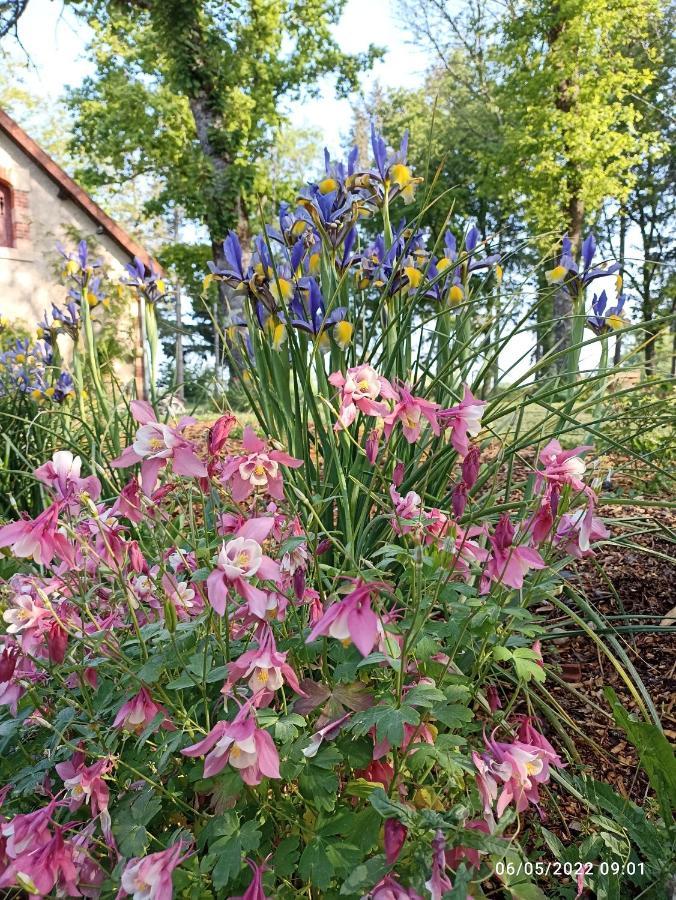 The Cosy Retreat Villa Mornay-sur-Allier Dış mekan fotoğraf